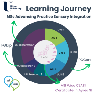 Route 1 | MSc in Advancing Practice Sensory Integration (ASI)