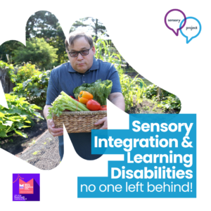 Webinar | Sensory Integration & Learning Disabilities