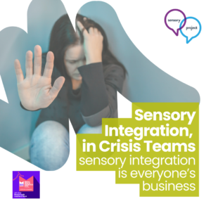 Webinar | Sensory Integration in Crisis Teams