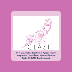 Route 2 | Certificate in Ayres' Sensory Integration (ASI)