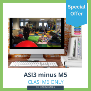 ASI3 Evidence-based ASI Intervention (M6 only)