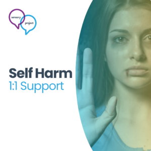 Webinar | Ayres' Sensory Integration & Self Harm (1:1 Support | what SI has to offer the MDT Team)