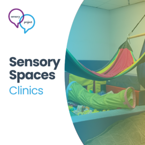 Webinar | Creating Ayres' Sensory Integration Spaces  in clinical settings