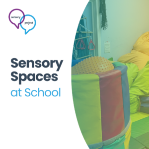 Webinar | Creating Ayres' Sensory Integration Spaces; @school, in the classroom & beyond