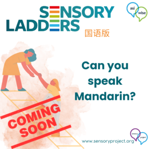Sensory Ladders ~ Mandarin Version