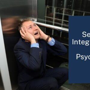 Workshop | Ayres' Sensory Integration for Mental Health and Psychosis Across the Lifespan