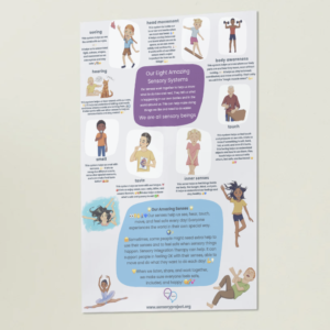 Poster | Eight Amazing Senses - Across the Lifespan (easy-read)