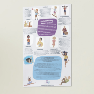 Poster | Eight Amazing Senses - High School and Beyond (expanded version)